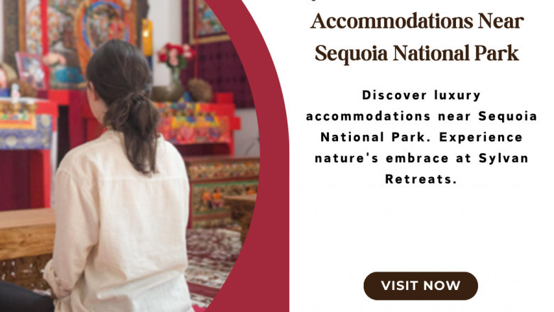 Escape to Nature in Style: Luxury Accommodations Near Sequoia National Park
