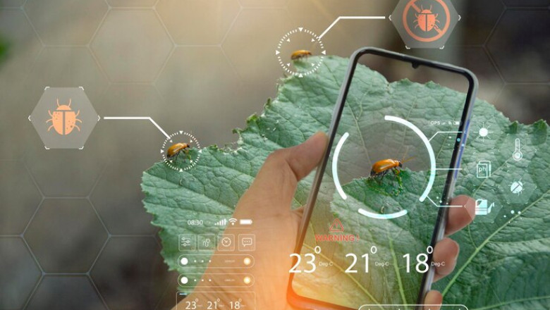 How a Pest Control App Can Boost Your Local Business Visibility