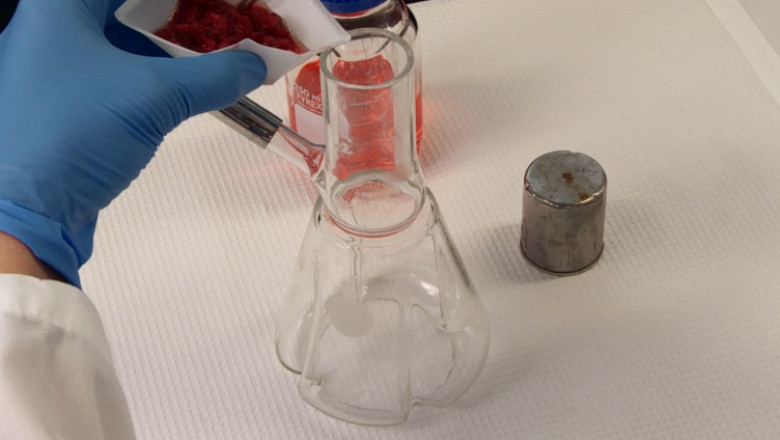 Human Primary Cell Culture Market to Rise Owing to 3D Cell Technology