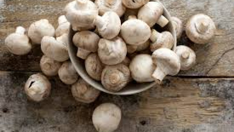 Mushroom Market Intelligence: Strategic Knowledge Driving Competitive