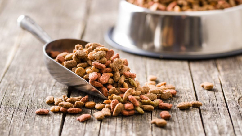 Pet Food Market Forecast Shows Strong Growth Across E-commerce and Retail Distribution Channels