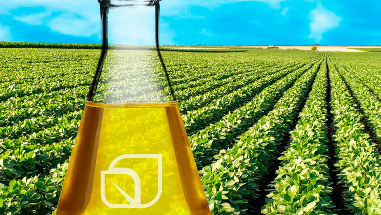 Brazil Biofuels Market is Anticipated to Witness Growth Owing to Government Mandates