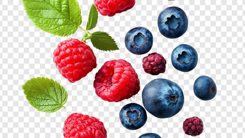 Organic Berries Market Size, Share, Future Growth, Trends, 2032