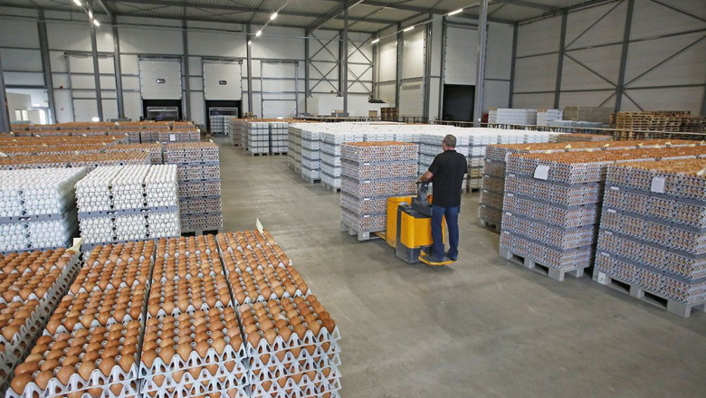 DWL Foods Global: Premium Frozen Chicken, Poultry, and Eggs Supplier