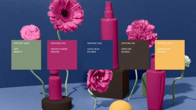 Packaging Psychology: How Colors, Fonts &amp; Layout Influence Buying Decisions