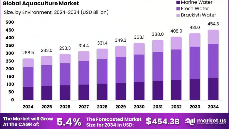 Agricultural Adjuvant market share