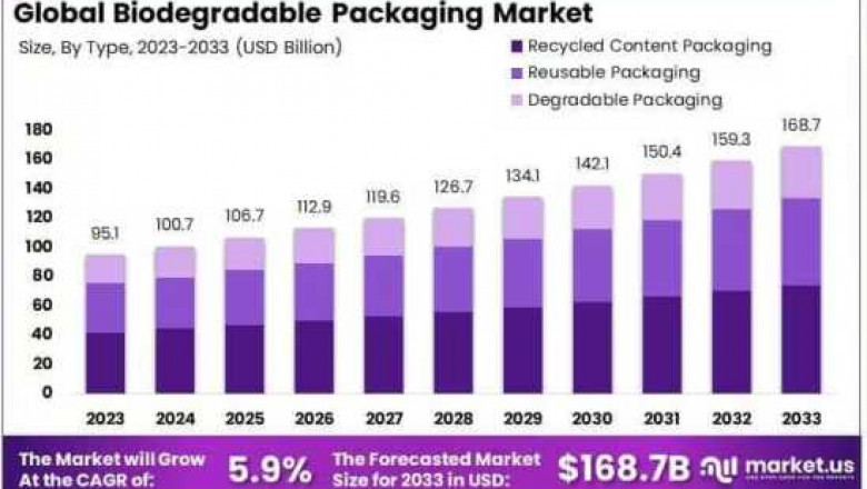 Bio-Wrapped and Future-Ready: Packaging in a Circular Age