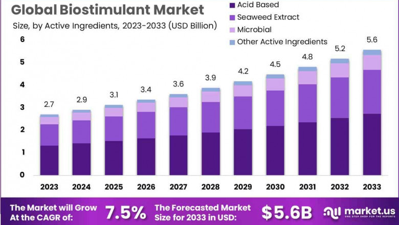 Biostimulant Market Research Insights | Revenue & CAGR Outlook