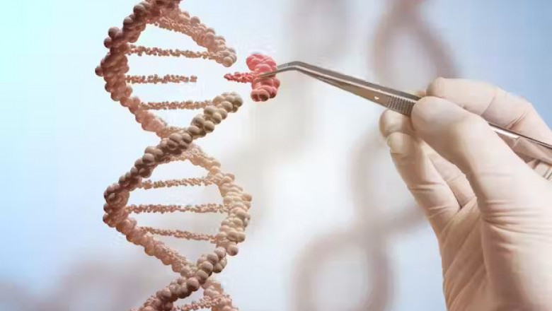 CRISPR Technology Market Outlook: Emerging Trends and Genetic Breakthroughs