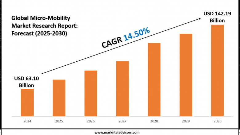 Micro-Mobility Market Analysis Report with Forecast Insights to 2030: Bird Global, Inc., TIER Mobility