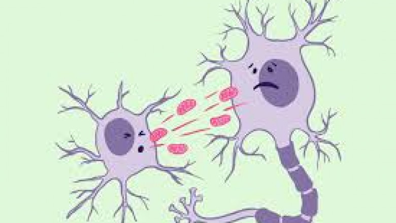 Rett Syndrome Market Set to Surge on Growing Gene Therapy Advances