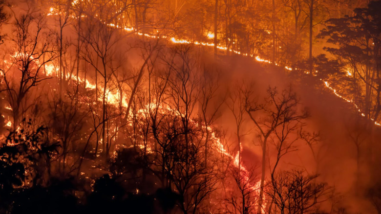 Sulphur Fire Lawsuits: Your Legal Rights After Devastating Wildfires