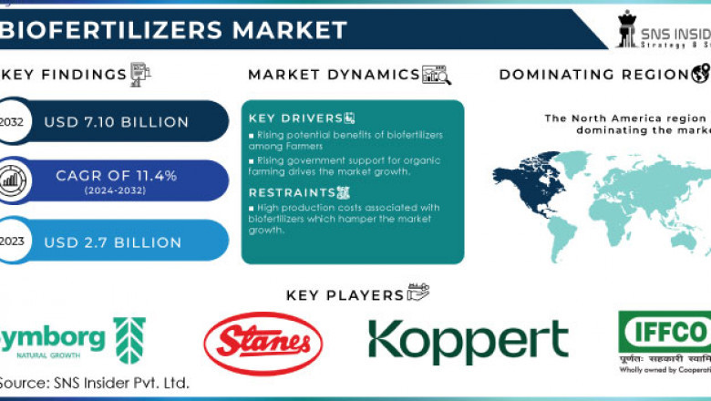 What Drives Biofertilizers Adoption in European Agriculture Today?