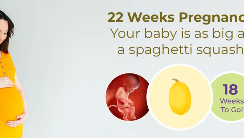 22 Weeks Pregnant: Symptoms, Baby Size and  Your Growing Bump