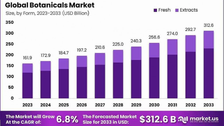 Botanicals Market Projections | Market Share by 2033