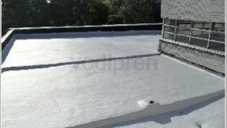 Global SBS Waterproof Membrane Market Report: Advancements, Applications &amp; Future Projections