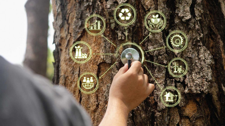 How Climate Adaptation Matters for Biodiversity Conservation