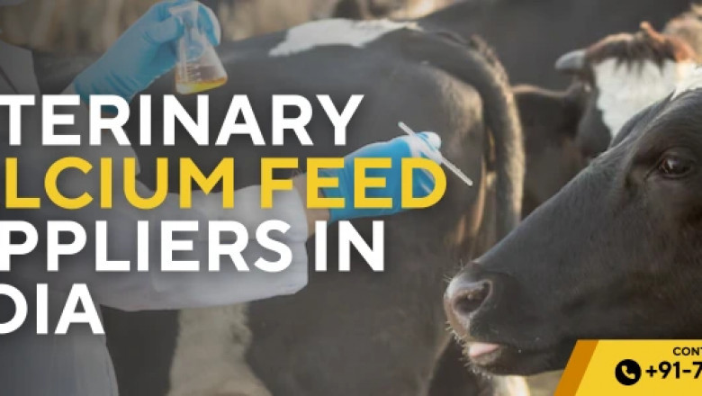 Top Veterinary Calcium Feed Supplement Suppliers in India
