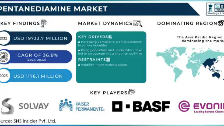 What Drives Pentanediamine Demand in US Nylon Production?