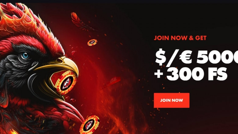 Chill and Play: The Roosterbet Experience You’ll Love