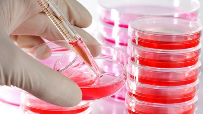 Comprehensive Insights on Cell and Tissue Culture Supplies Market Size and Demand Scope