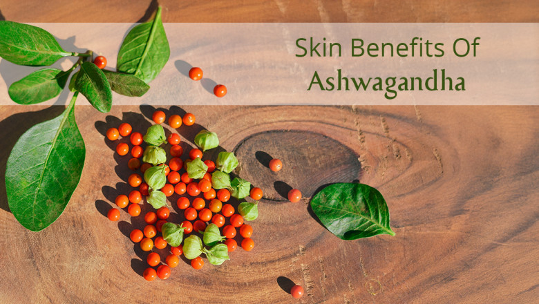 Health Benefits of Ashwagandha - AreoVeda