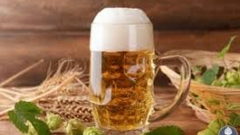 Organic Beer Market Scenario: Current Positioning, Industry Shifts, and Strategic Outlook