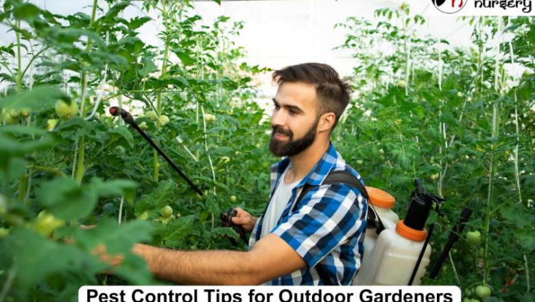 Pest Control Tips for Outdoor Gardeners