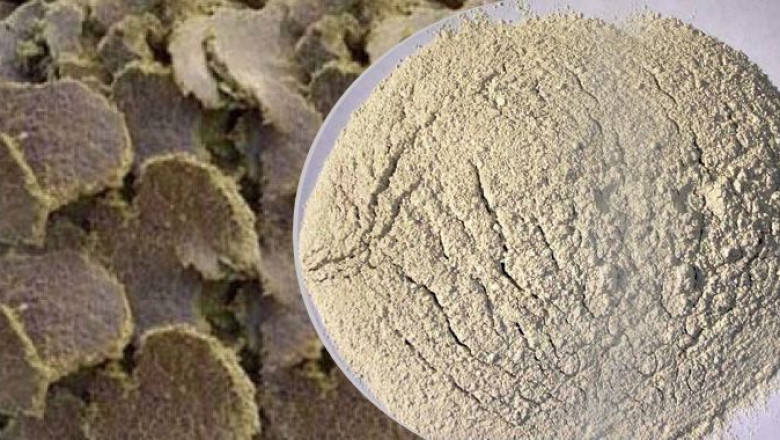 Rapeseed Meal Market Experiences Pressure from Environmental Risks and Policy-Driven Disruptions