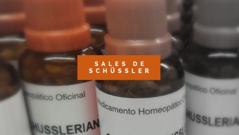 Sales De Schüssler: Equilibra Tu Salud Celular Naturalmente