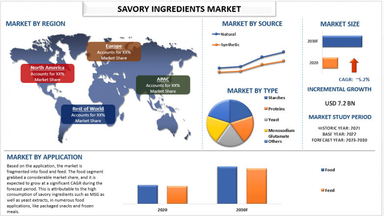 Savory Ingredient Market Size, Share, Segments, Analysis and forecast 2030
