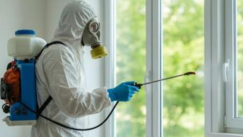 The Undeniable Truth About Pest Control Specialists