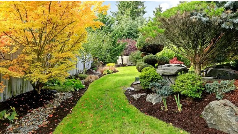 Transform Your Outdoor Space with Expert Residential Landscaping in Manassas, VA
