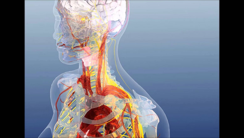 Bioelectric Medicine Market Is Estimated to Witness High Growth Owing to Integration of Closed-Loop Neuromodulation