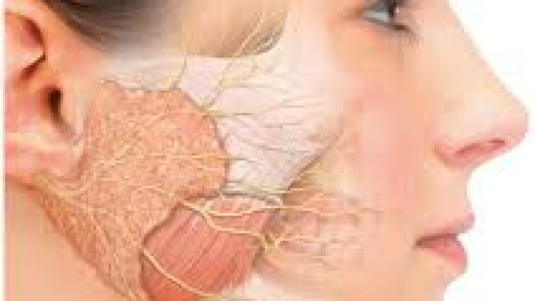 Global Sialorrhea Treatment Market Growth Outlook Forecast
