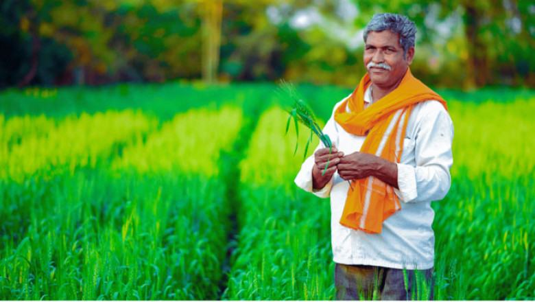 How to Shift Slowly to Sustainable Farming Without Risk