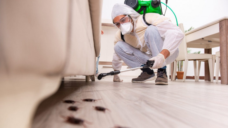 Pest Control Market Impacting Factors Include Urbanization, Climate Change, Health Concerns, and Regulations