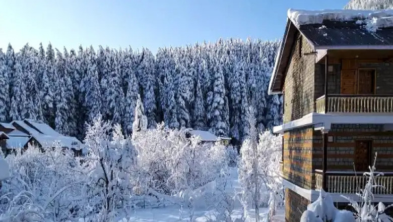 Romance in the Hills with Our Himachal Pradesh Honeymoon Package