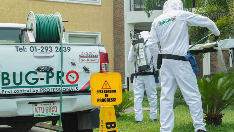 Top Pest Control Companies in Lagos – Reliable Pest Management and Fumigation Services