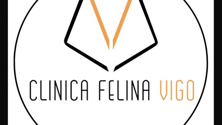 En Clínica Felina Vigo cuidamos a tu gato como se merece