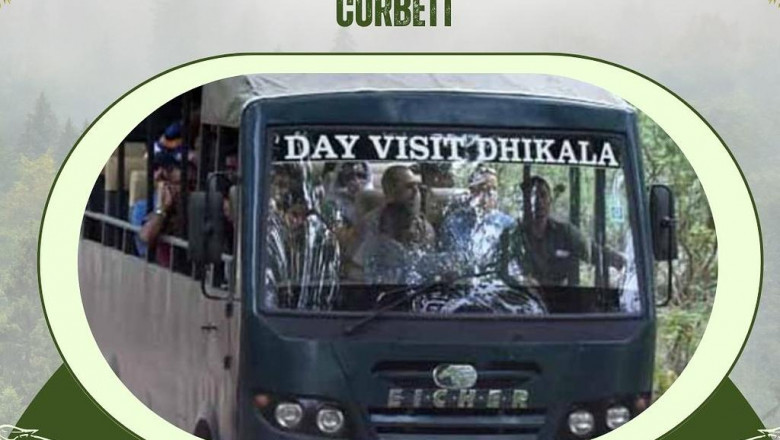 Explore the Wild Majesty of Dhikala Canter Safari in Corbett