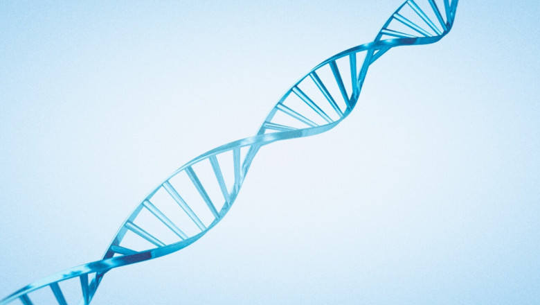 Gene Switch Market Trends and Growth Forecast 2025-2032