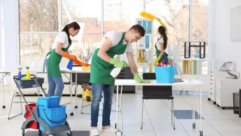 Mold Remediation: Protecting Your Property and Health from Hidden Dangers