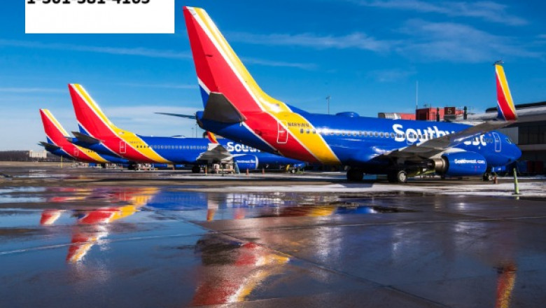 Need Help Booking Southwest Airlines Flights? ☎️✈️-Norfolk