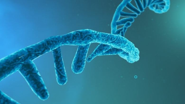 RNA Targeted Therapeutics Market Growth and Forecast