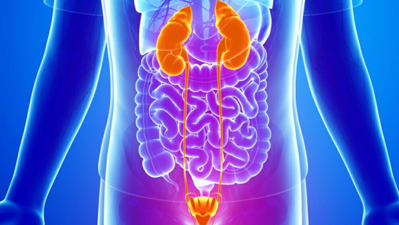 Uncomplicated Urinary Tract Infection Market Growth Outlook