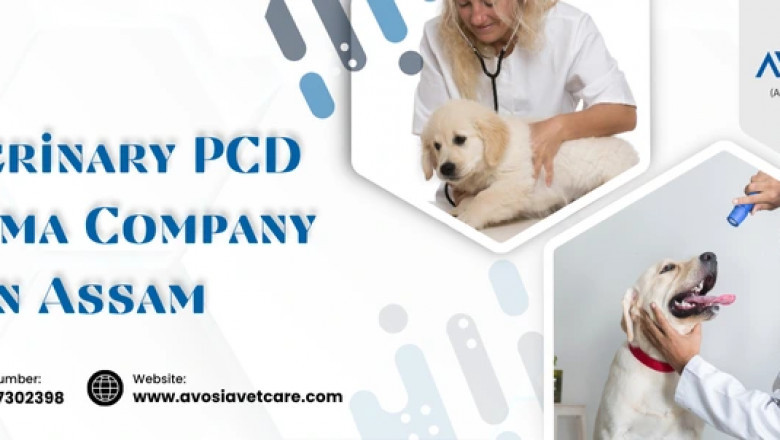 Veterinary PCD Pharma Company in Assam