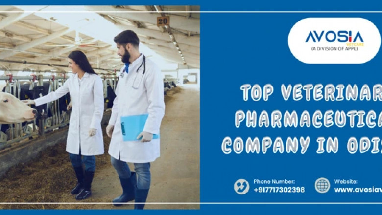 Veterinary PCD Pharma Company in Gujarat