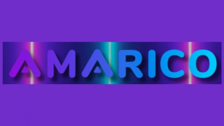 How Amarico is Transforming Organizations Across South Africa