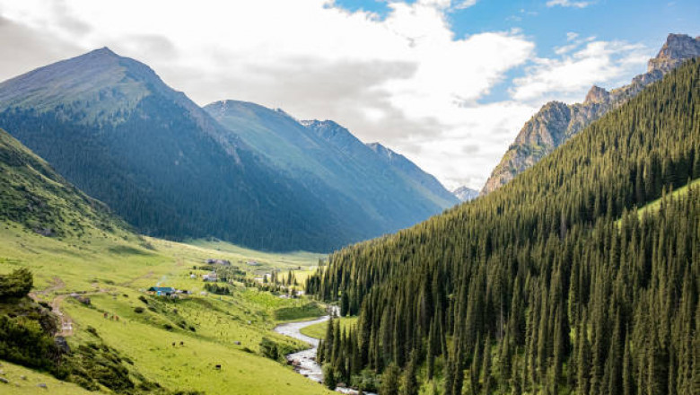 Traveling in Kyrgyzstan: Essential Tips for a Safe and Memorable Trip